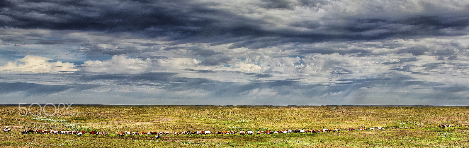 Canon EOS 7D Mark II sample photo. Heavy skies photography