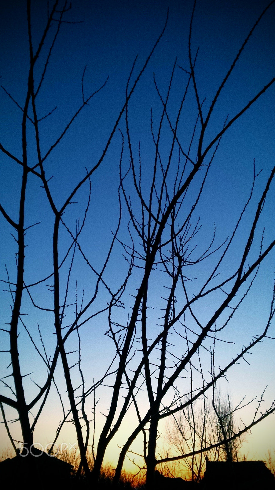 BlackBerry Z10 sample photo. Burn the sky! photography