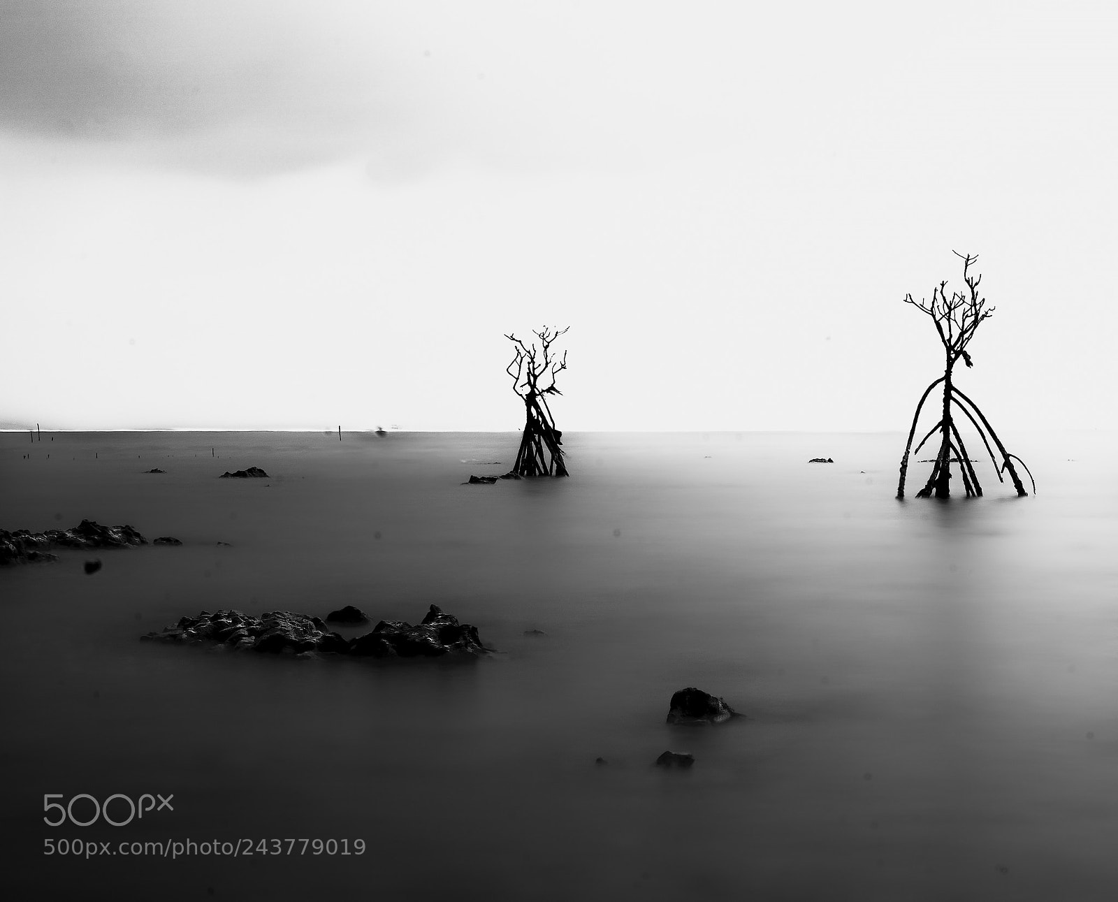 Sony a9 sample photo. Low tide photography