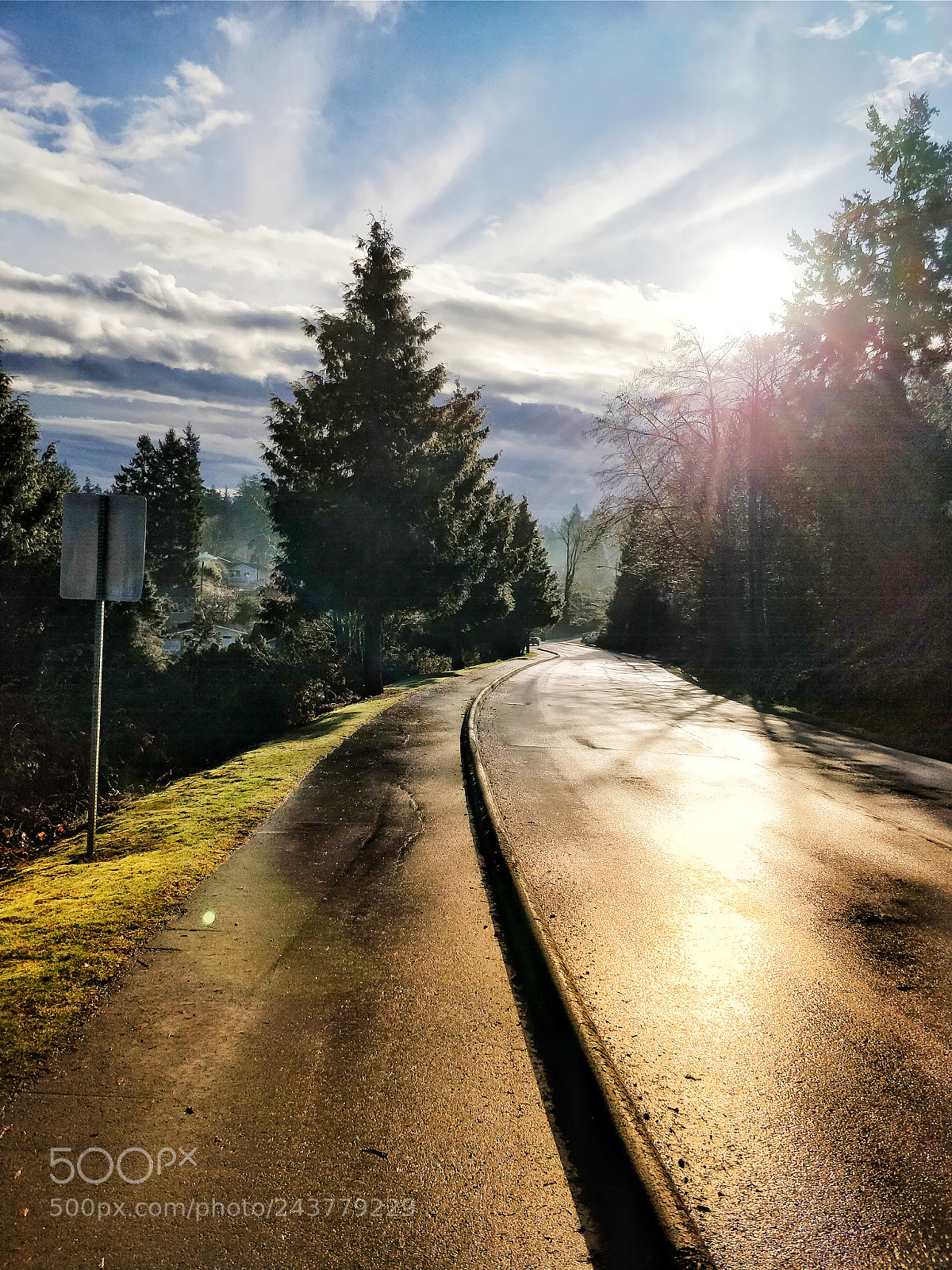 OnePlus 5 sample photo. Morning by the road photography