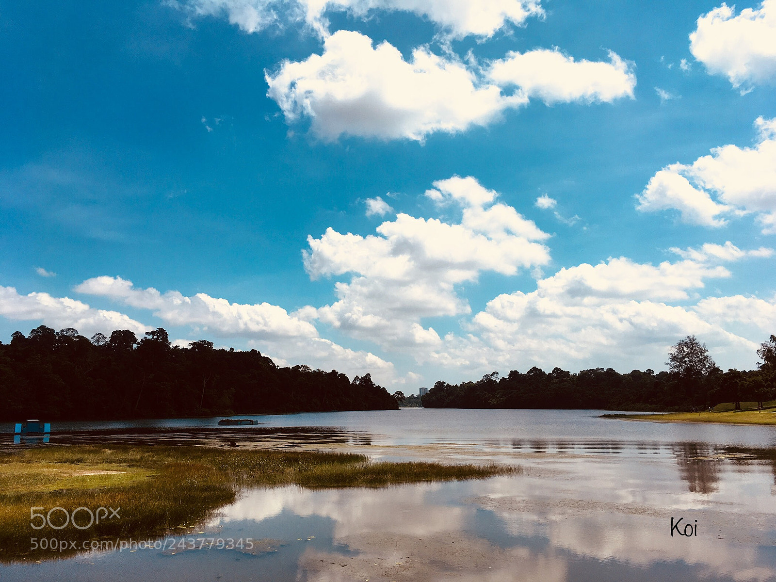 Apple iPhone SE sample photo. Another summer days... photography