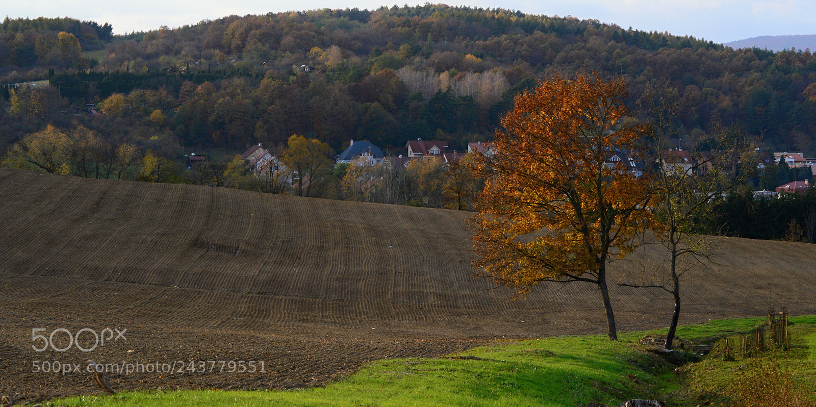 Nikon D3200 sample photo. Autumn photography