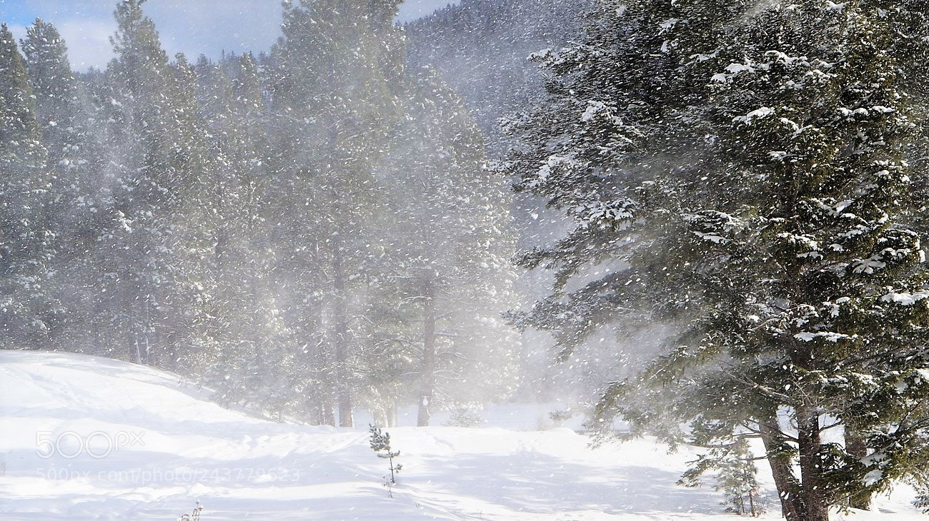 Sony Alpha NEX-3N sample photo. Tempete photography