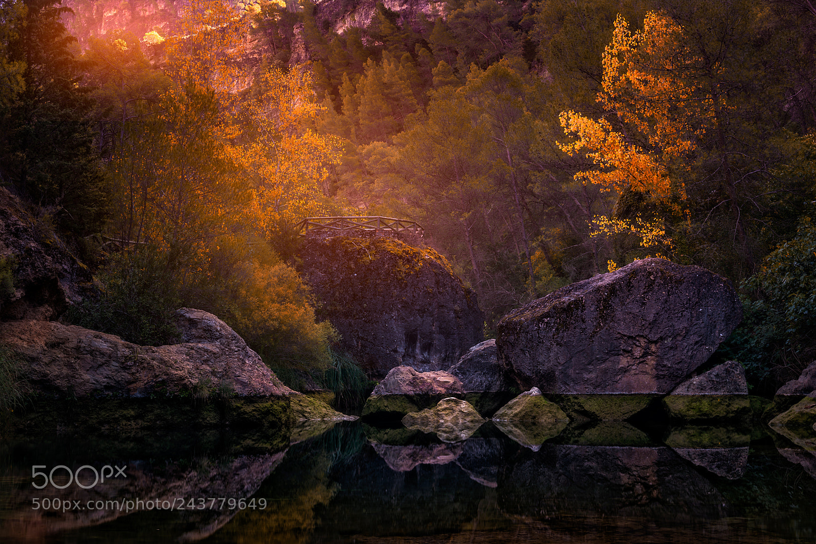 Nikon D800 sample photo. Autumn at the lake photography
