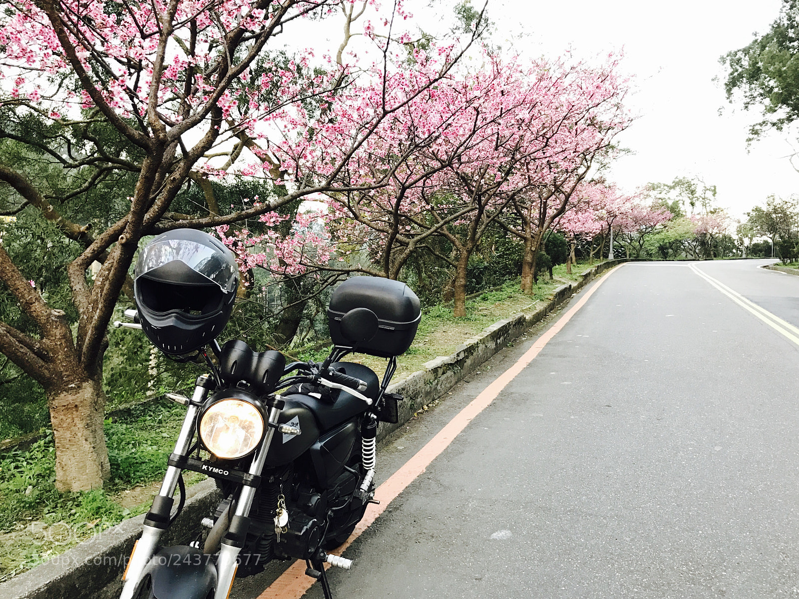 Apple iPhone 7 sample photo. Taiwan  photography