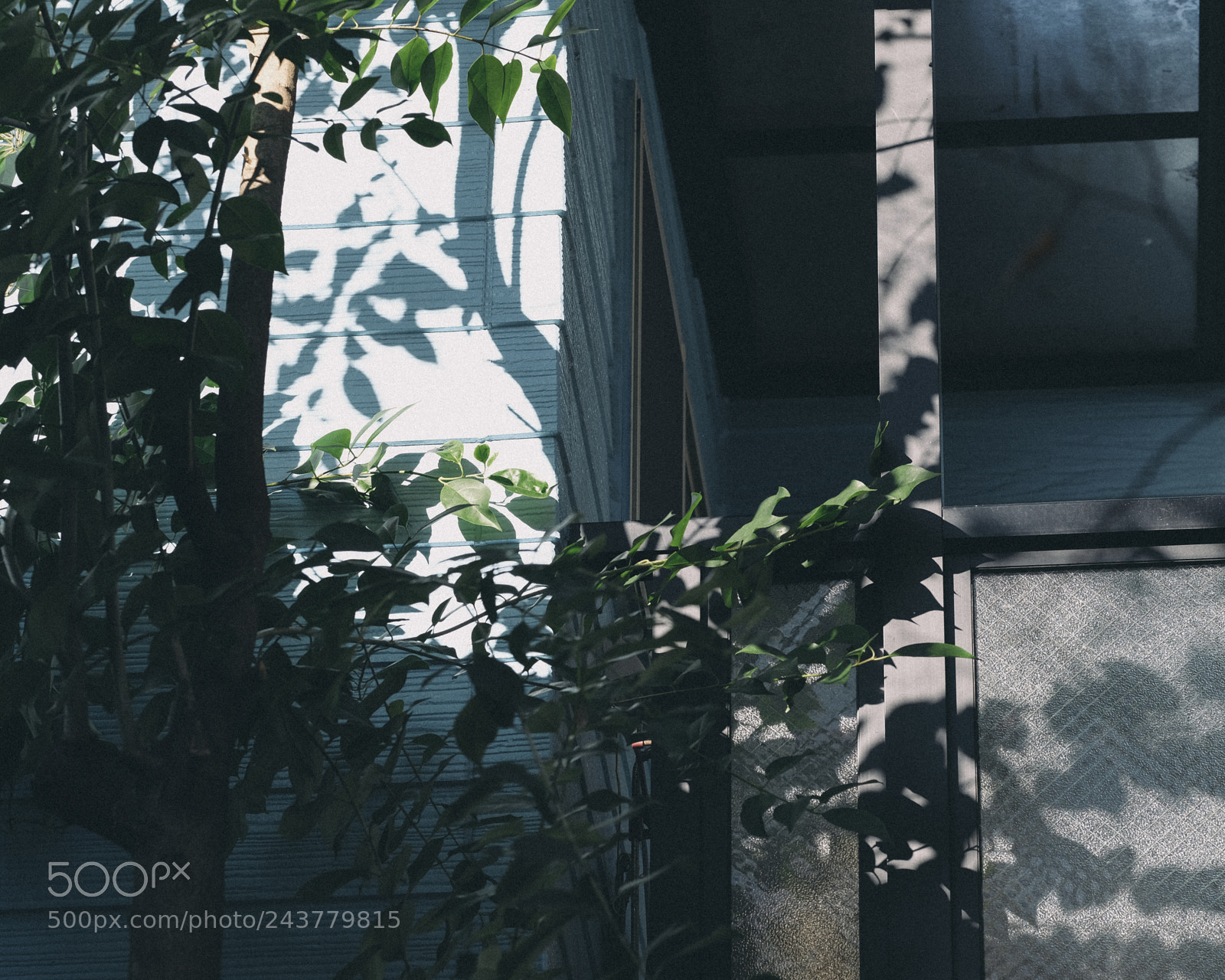 Fujifilm X-Pro2 sample photo. Untitled photography
