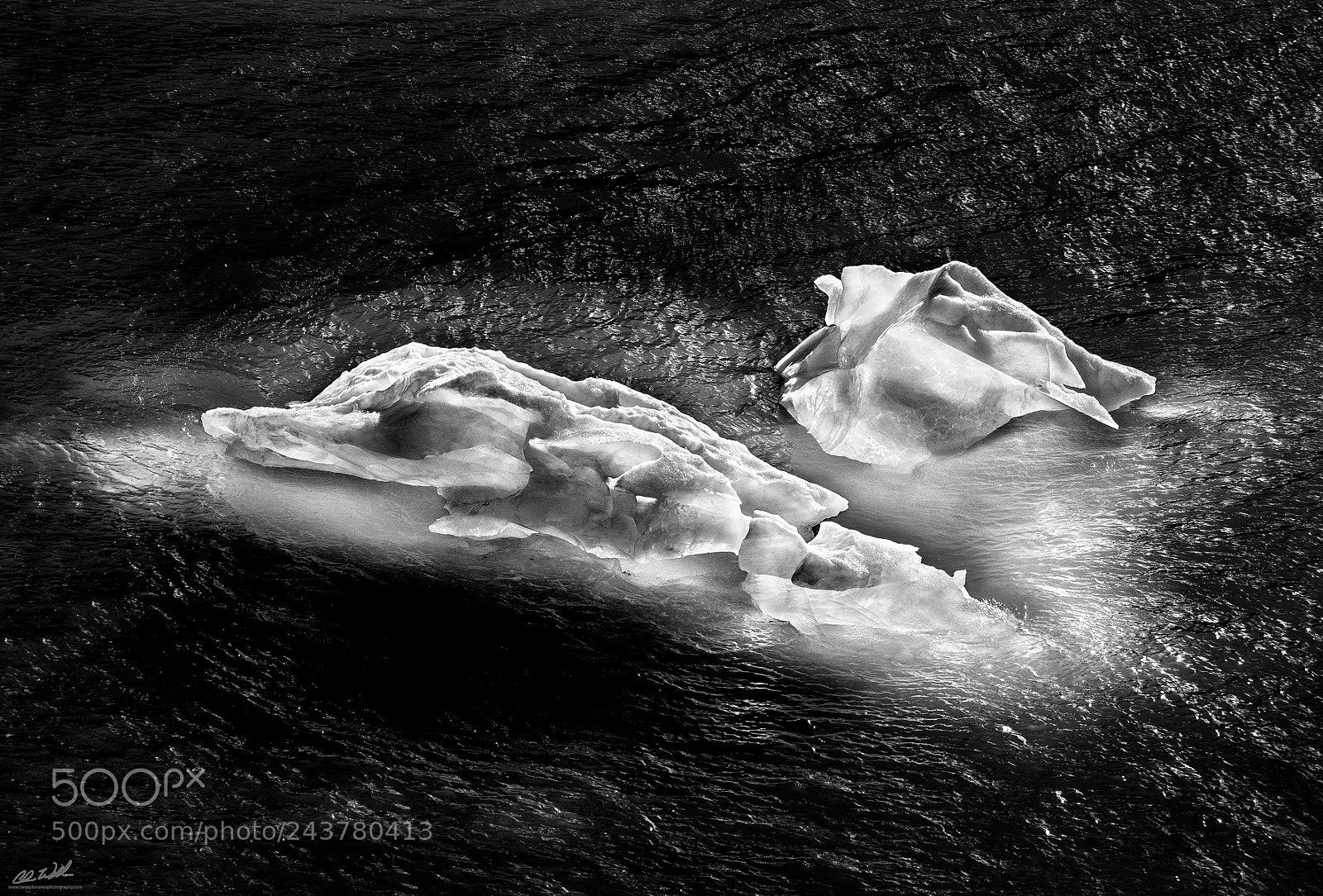 Fujifilm X-T2 sample photo. Transluscent photography