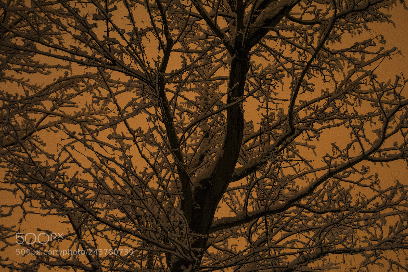 Nikon D7100 sample photo. Sunset photography