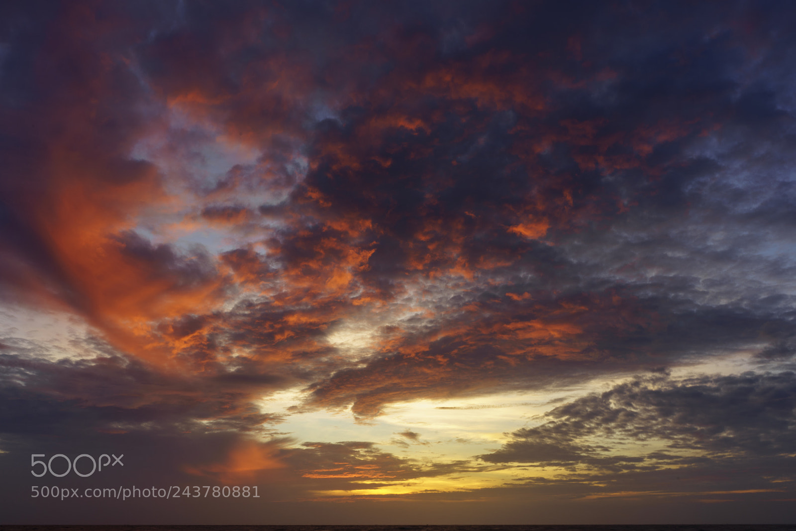 Sony a7 II sample photo. Dsc photography
