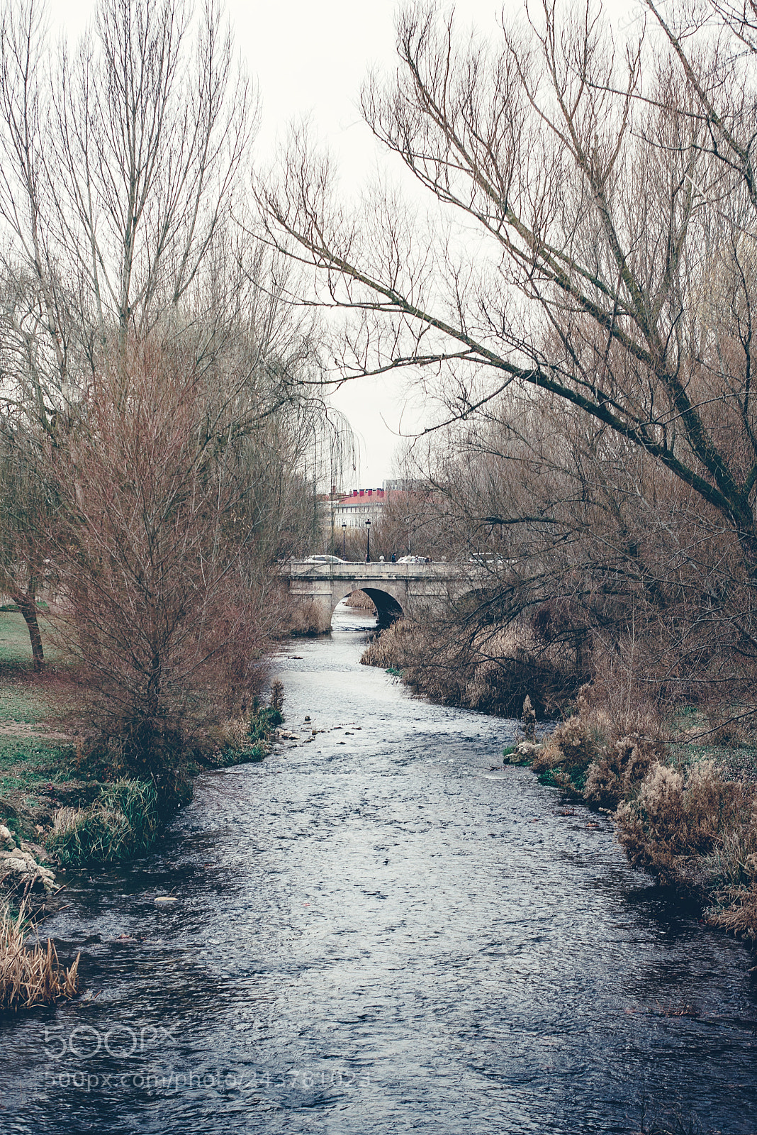 Nikon D610 sample photo. Burgos from a different photography