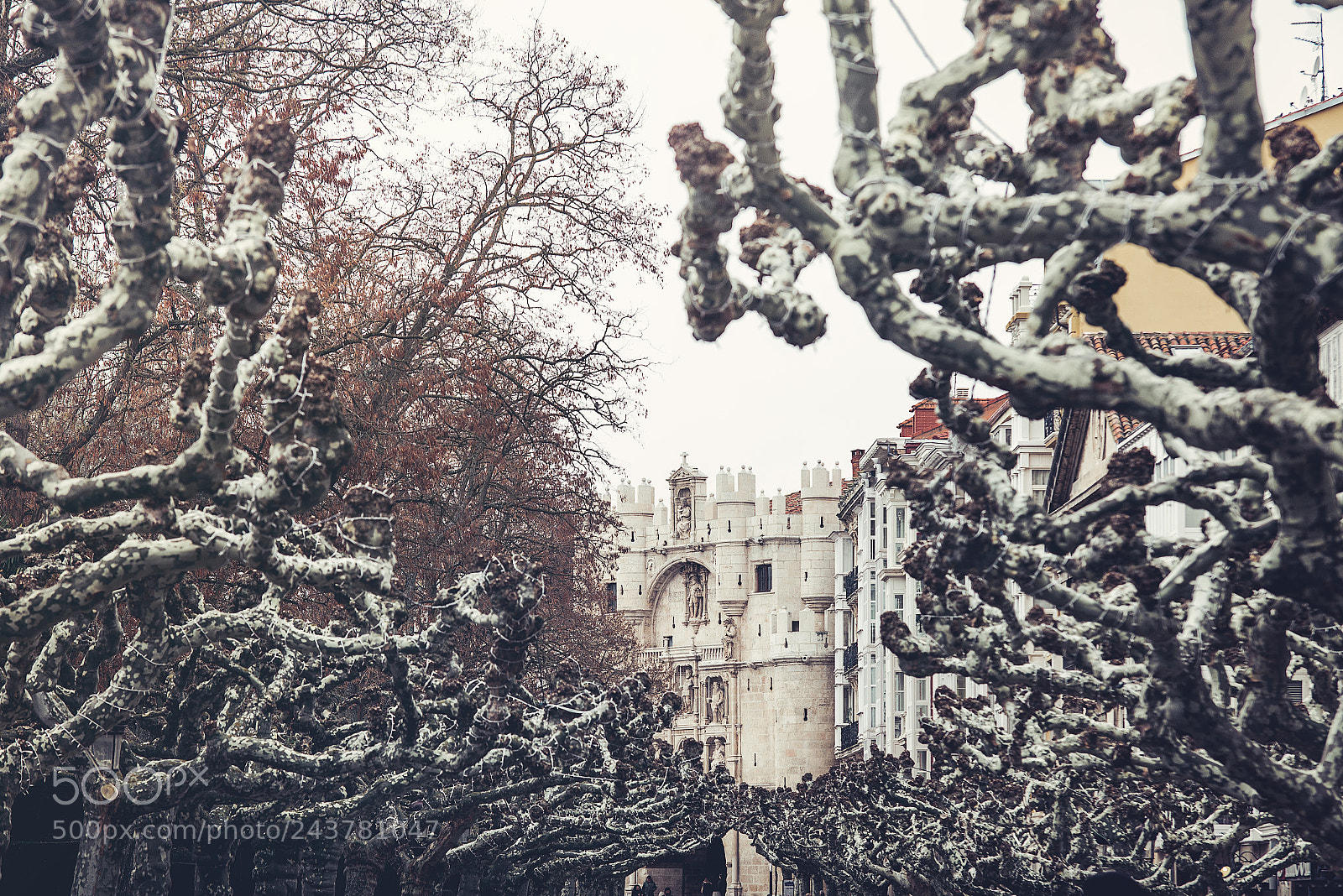 Nikon D610 sample photo. Burgos from a different photography