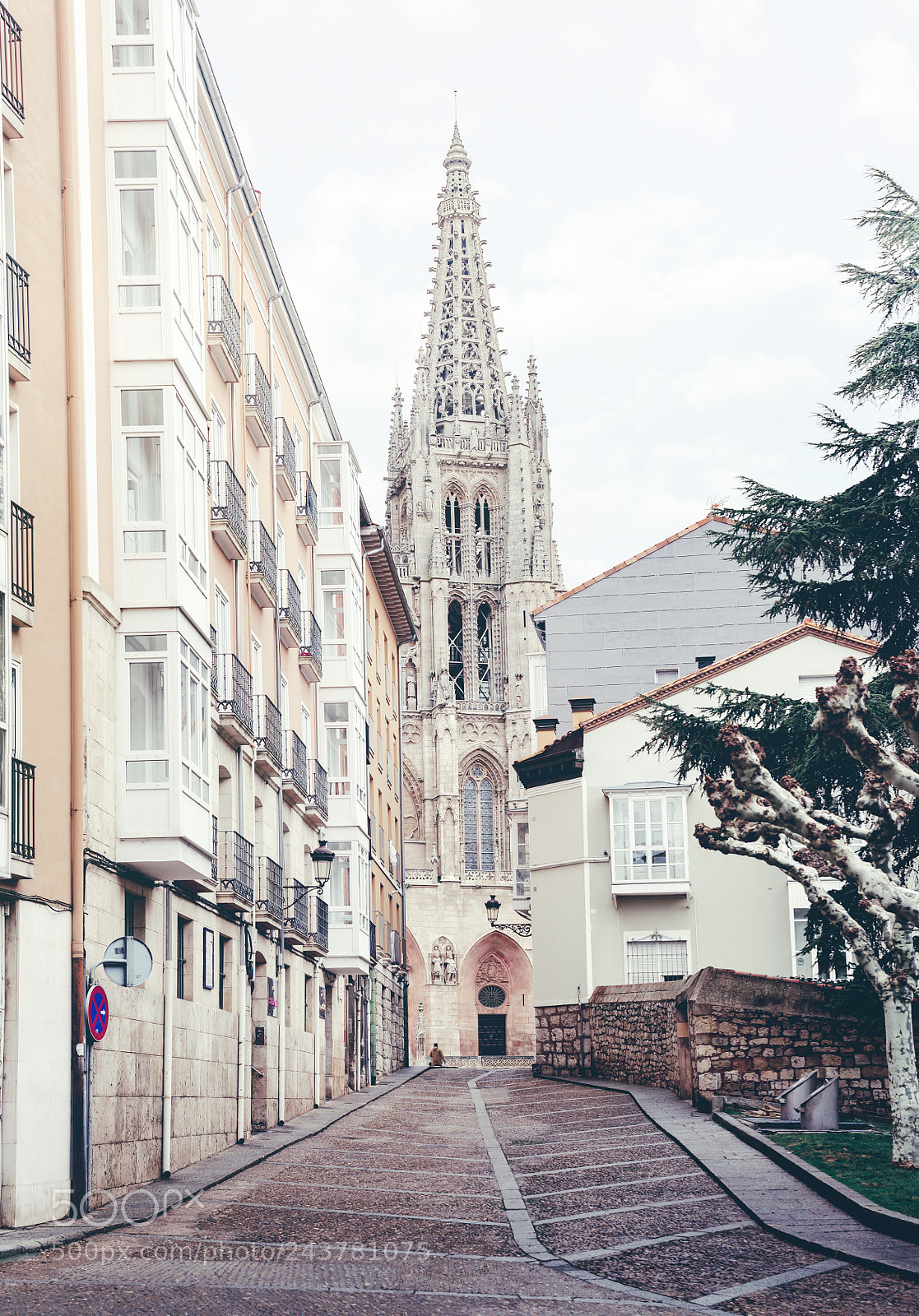 Nikon D610 sample photo. Burgos from a different photography