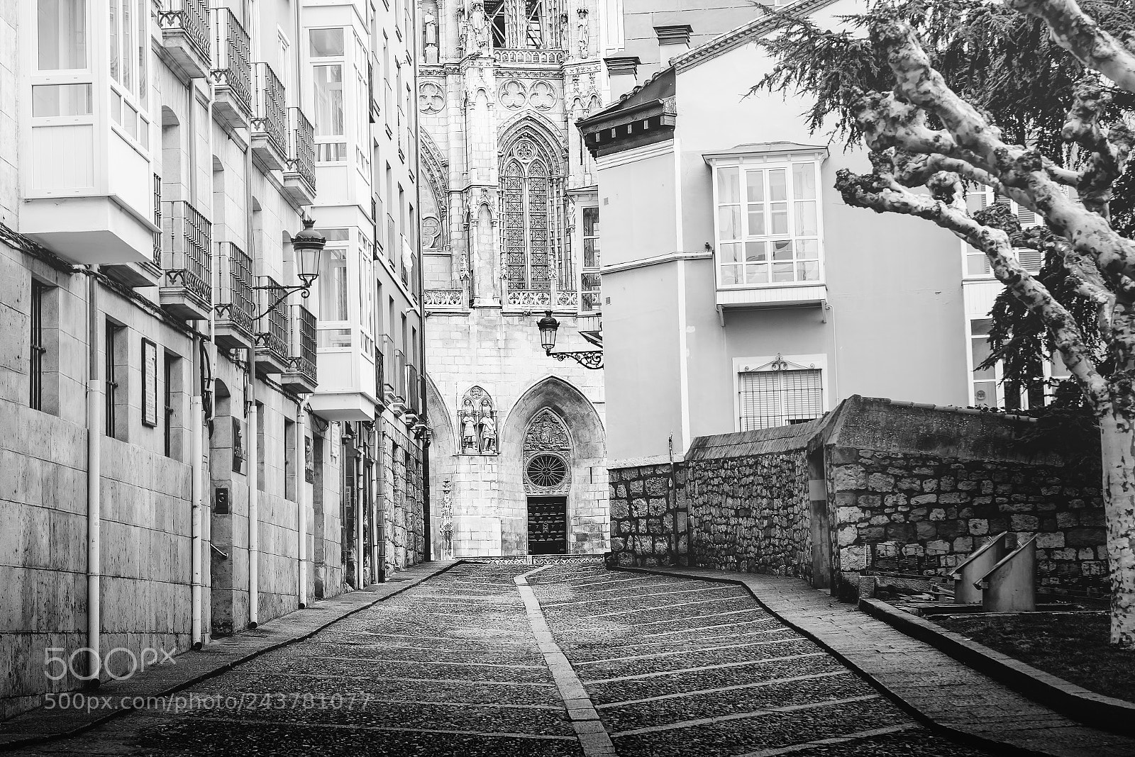 Nikon D610 sample photo. Burgos from a different photography
