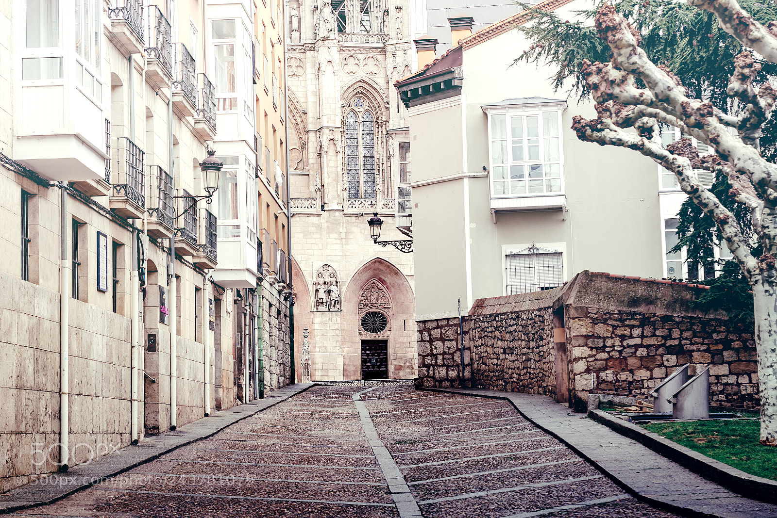 Nikon D610 sample photo. Burgos from a different photography