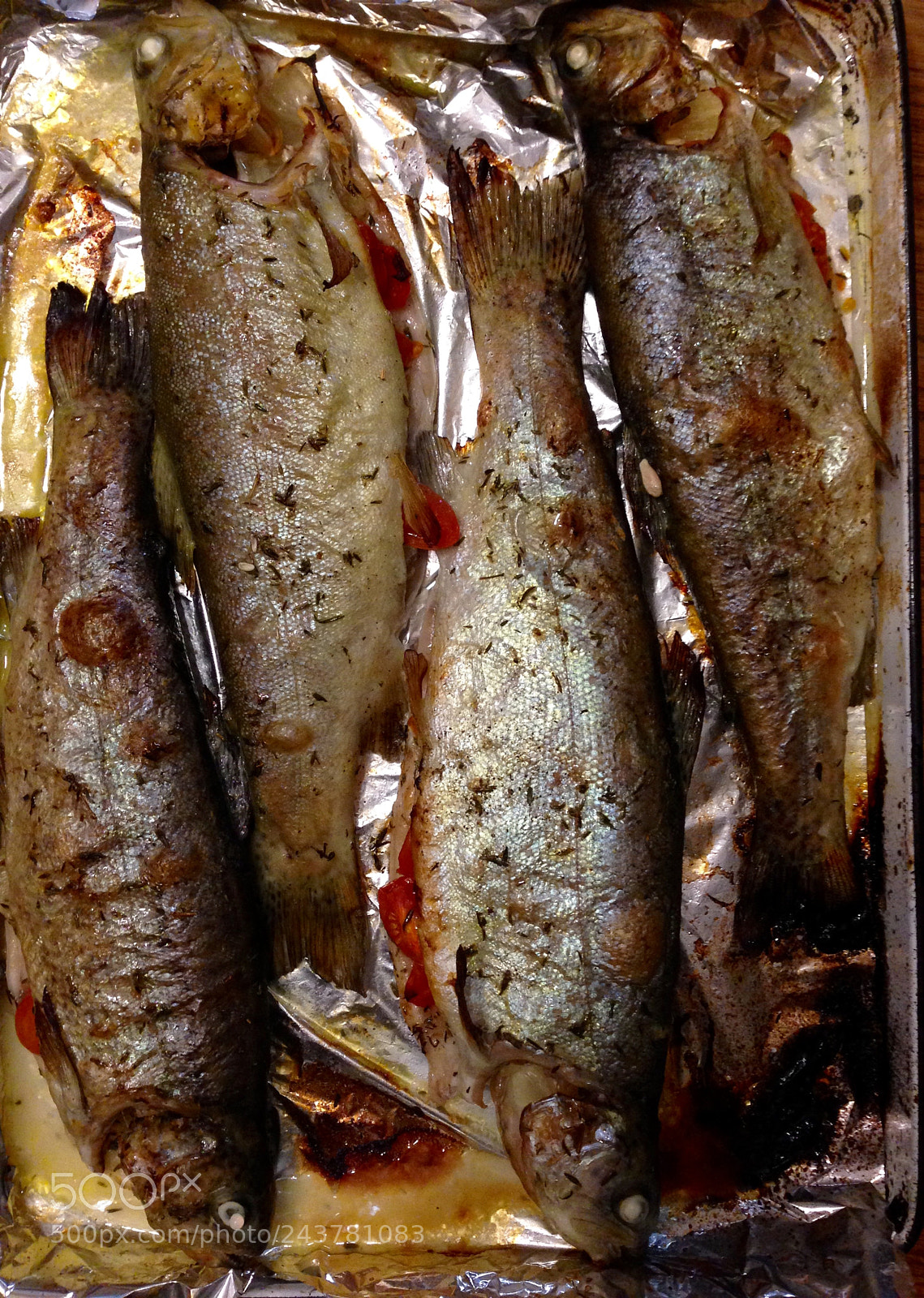 Apple iPhone 5 sample photo. Salmo tutta fario photography