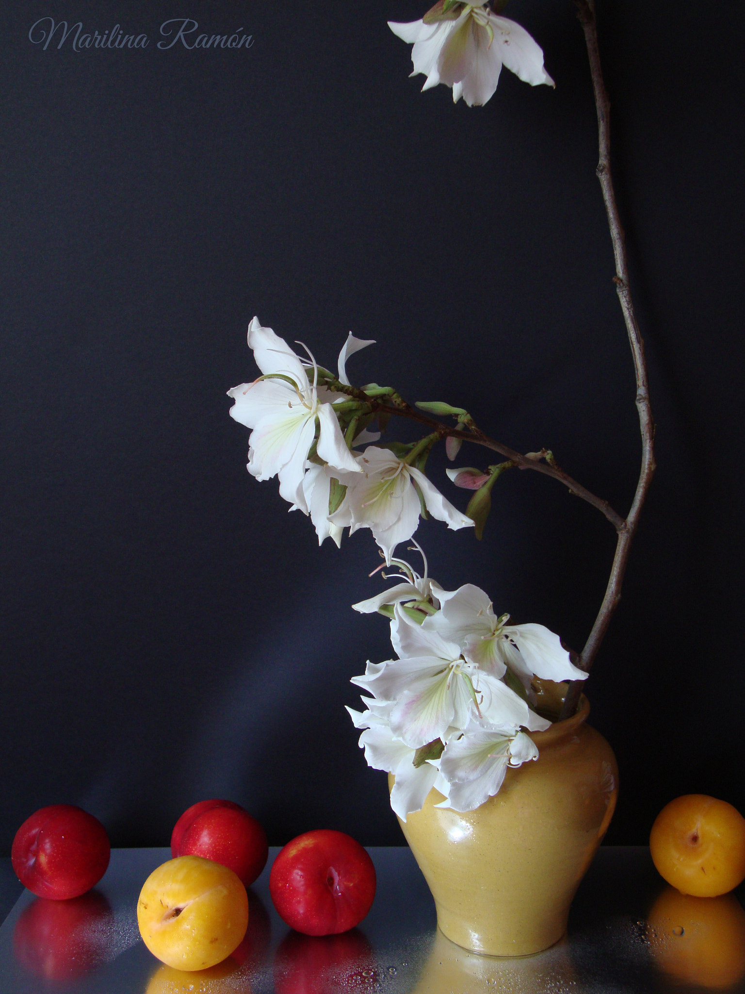 Sony DSC-W210 sample photo. Orquídeas blancas. photography