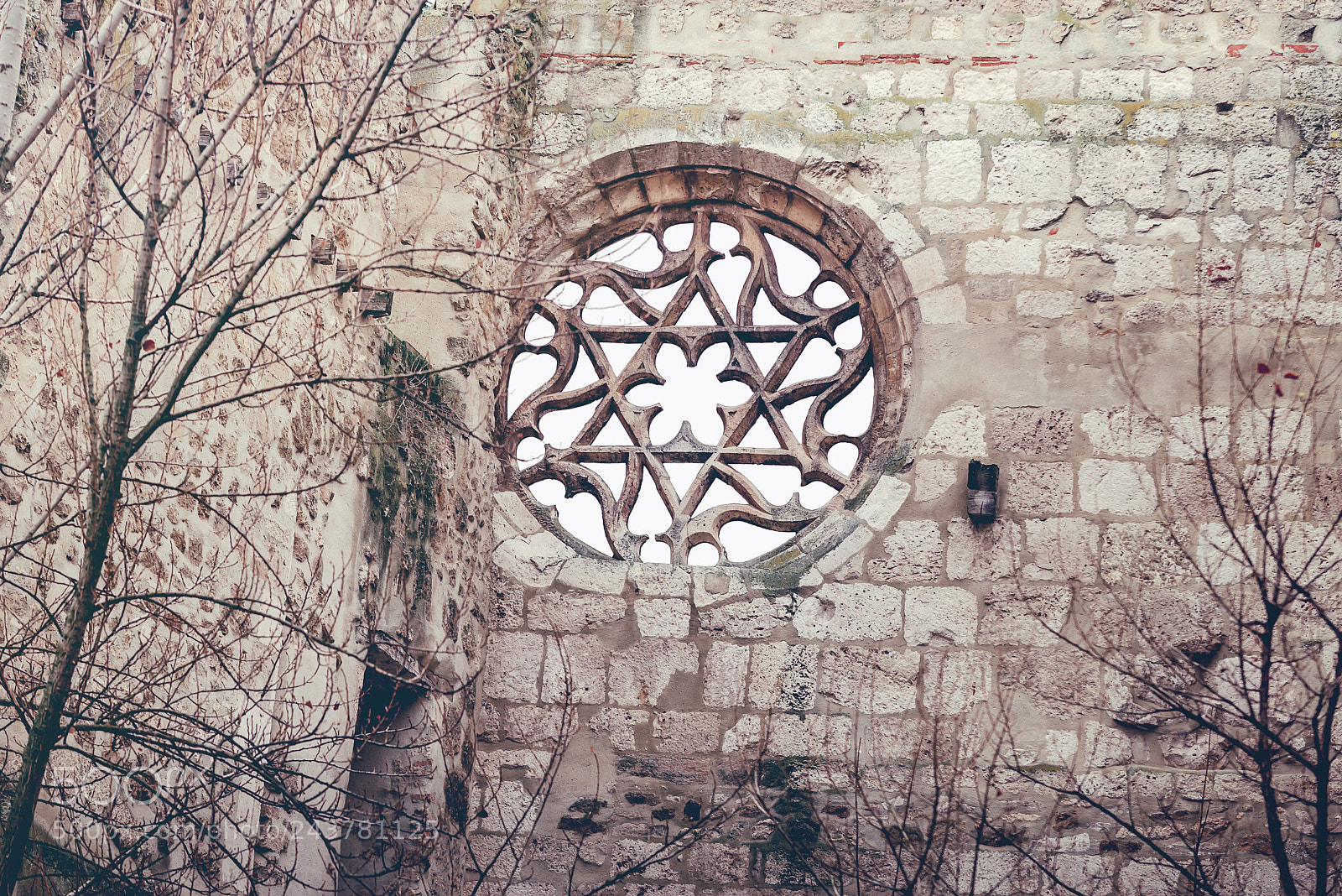 Nikon D610 sample photo. Burgos from a different photography