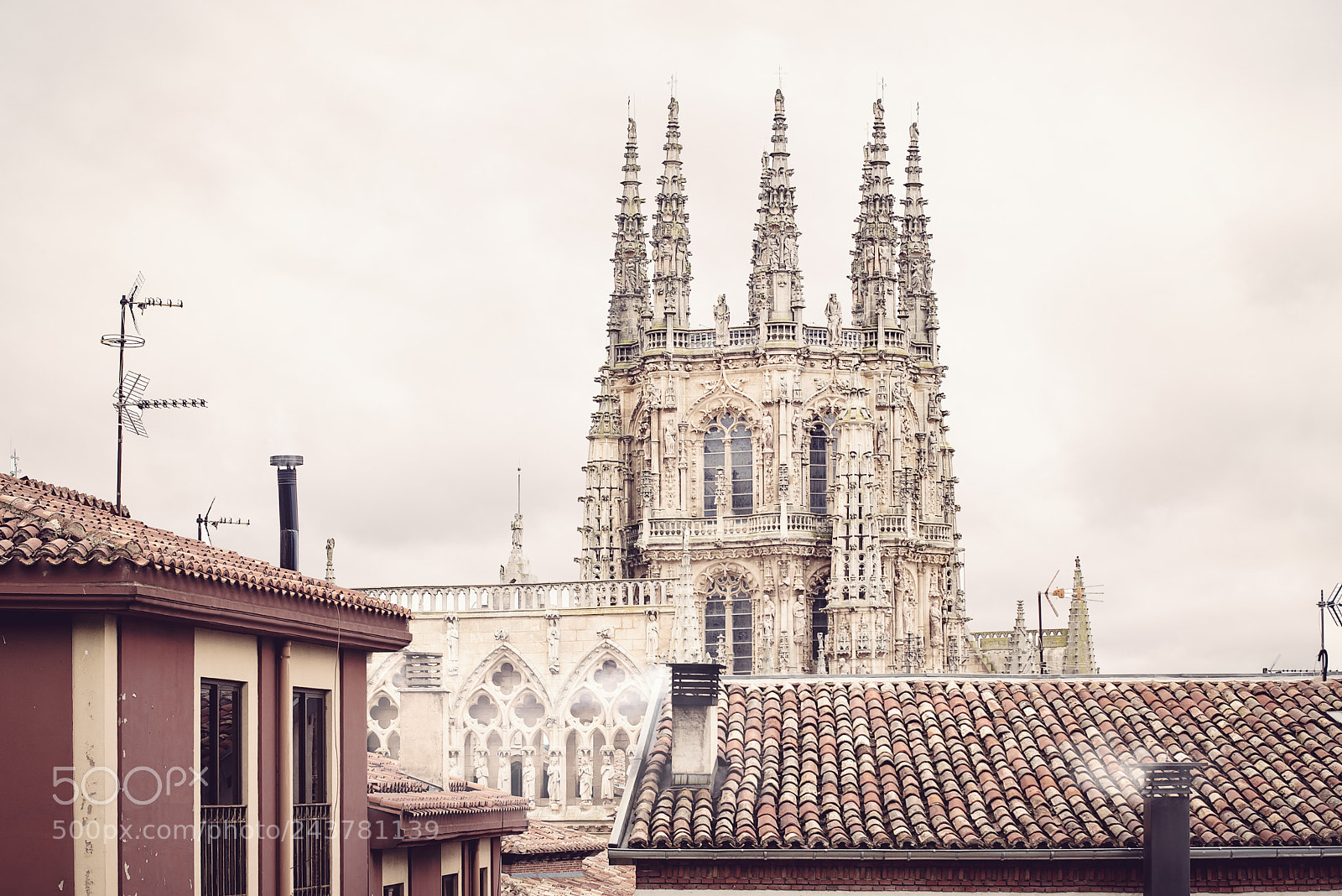 Nikon D610 sample photo. Burgos from a different photography