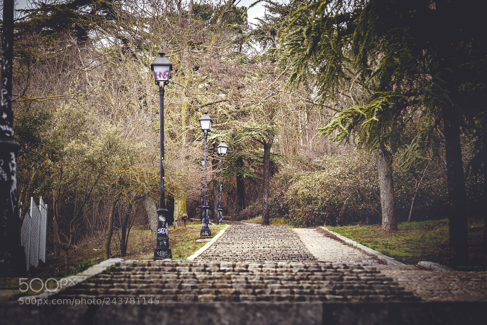 Nikon D610 sample photo. Burgos from a different photography