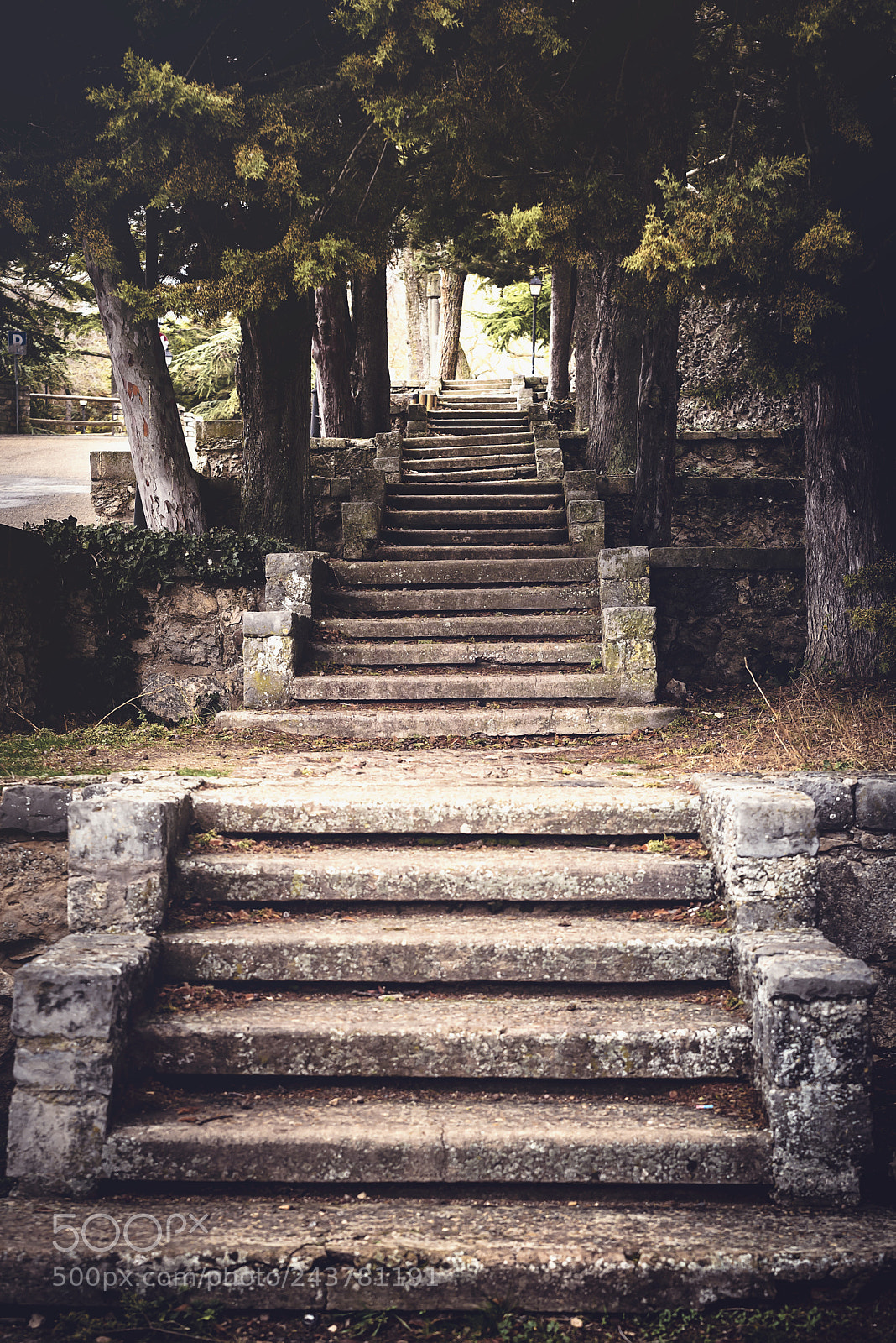 Nikon D610 sample photo. Burgos from a different photography