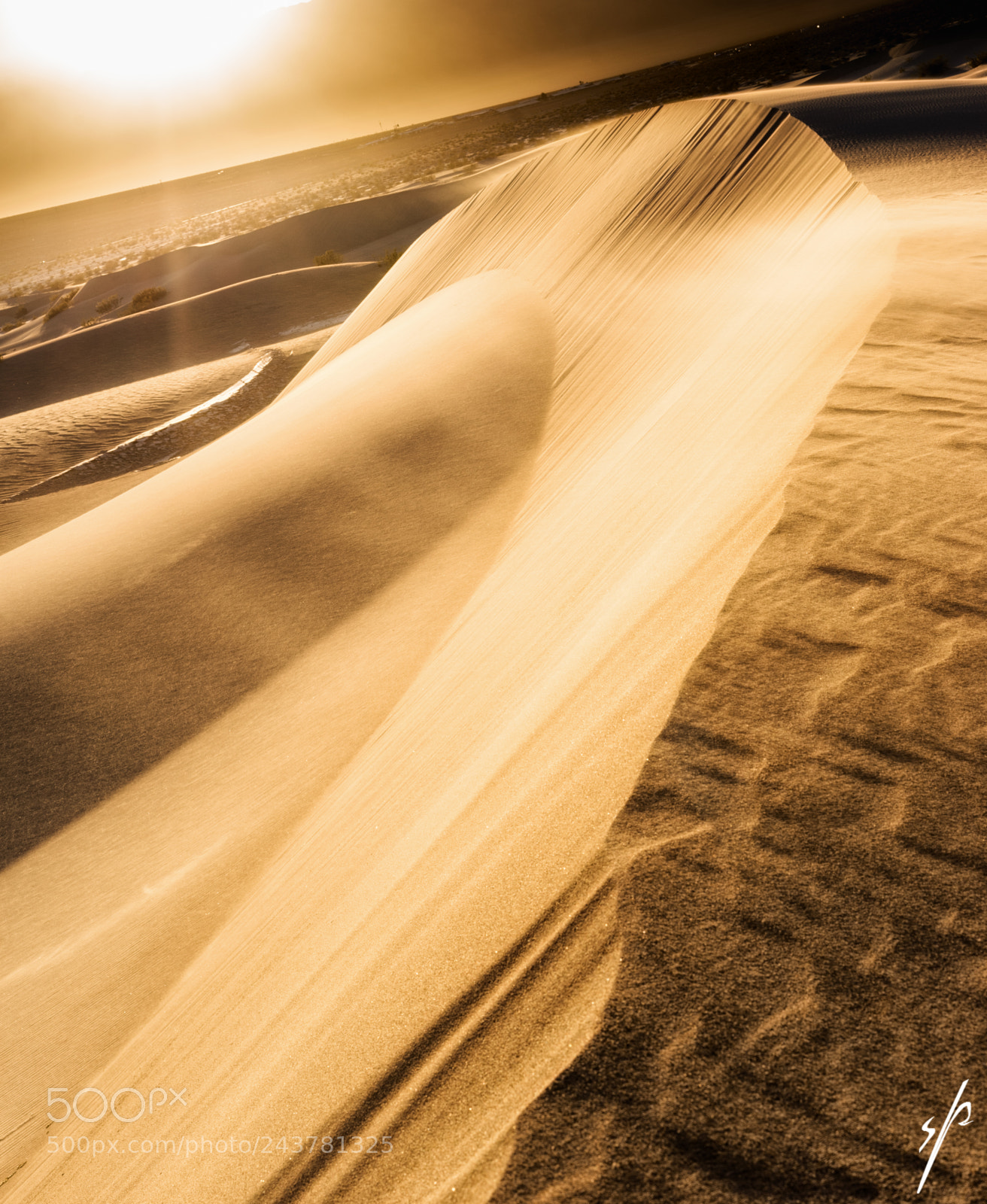 Sony a7 sample photo. Black and gold photography