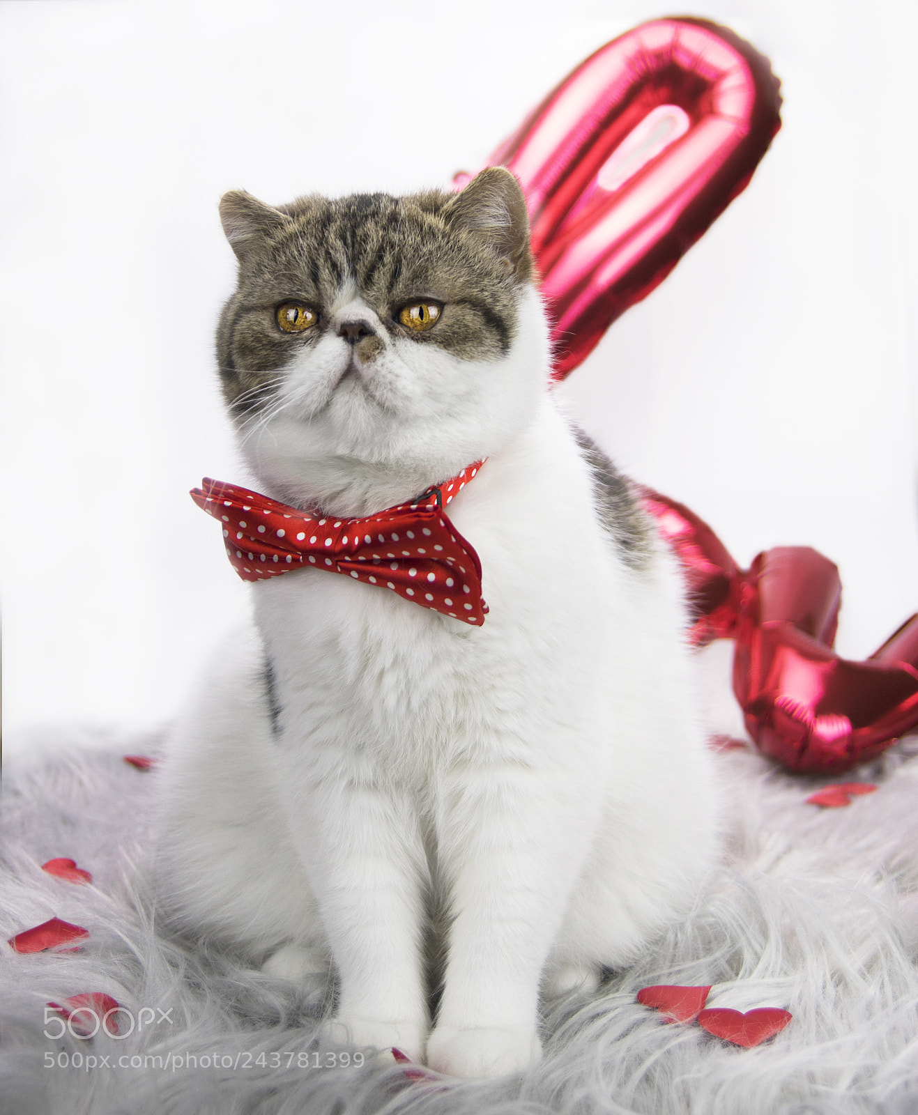 Pentax K-3 II sample photo. Waiting love day photography