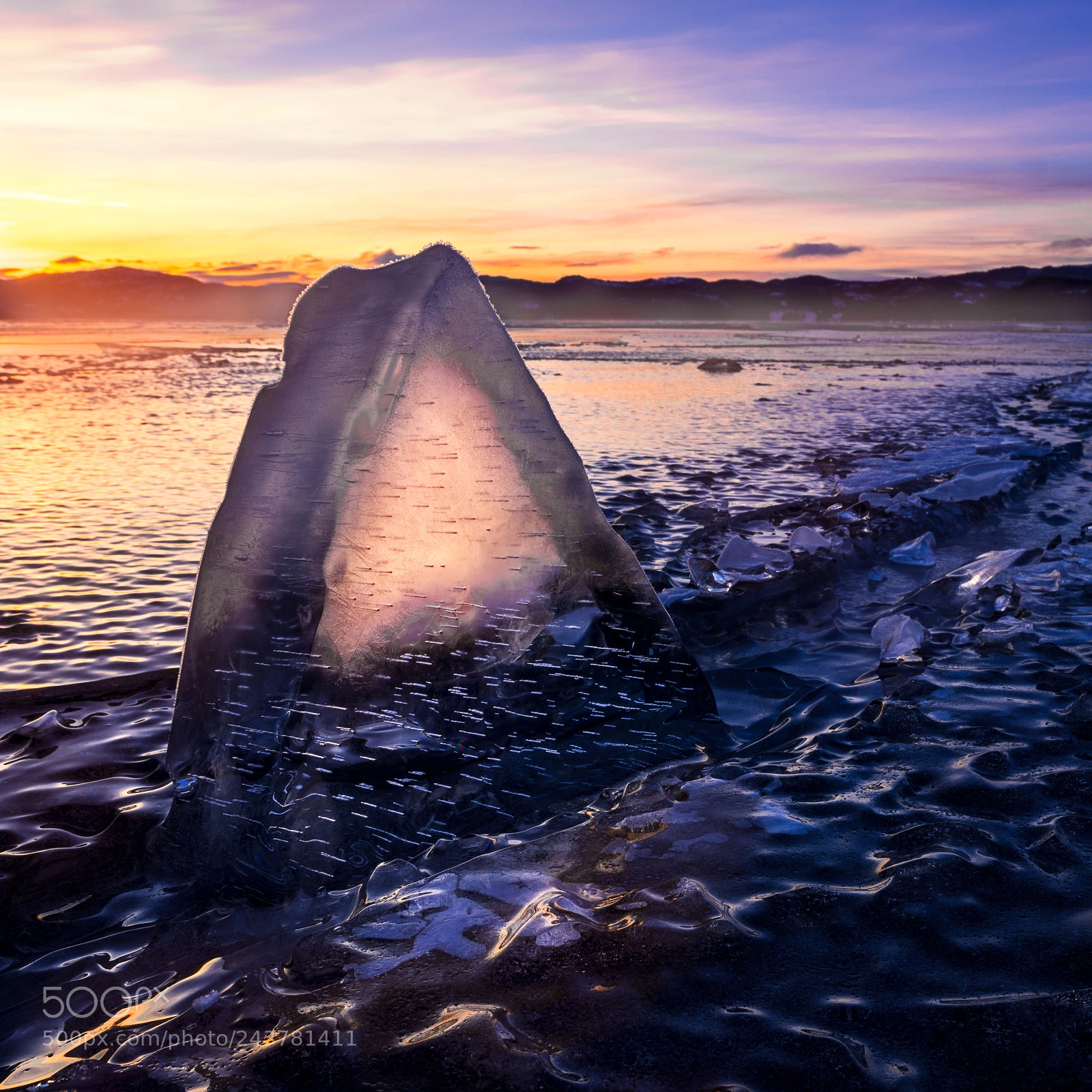 Nikon D810 sample photo. Frozen  photography