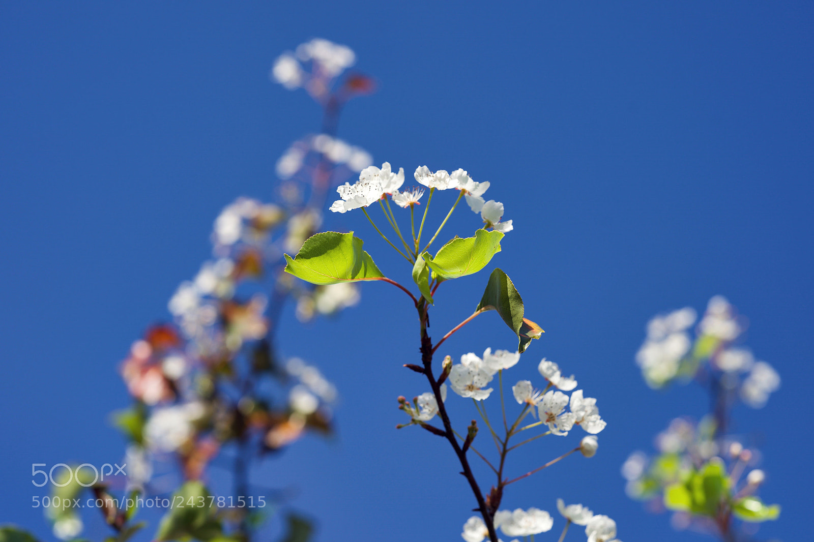 Sony a9 sample photo. I'm so glad i photography