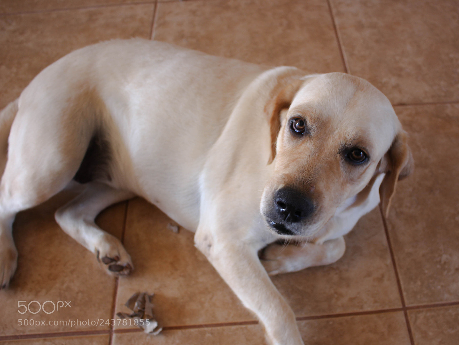 Canon EOS 700D (EOS Rebel T5i / EOS Kiss X7i) sample photo. Eacd o photography