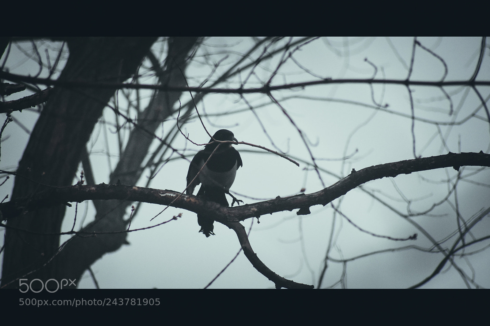 Nikon D7200 sample photo. енкенкеы photography