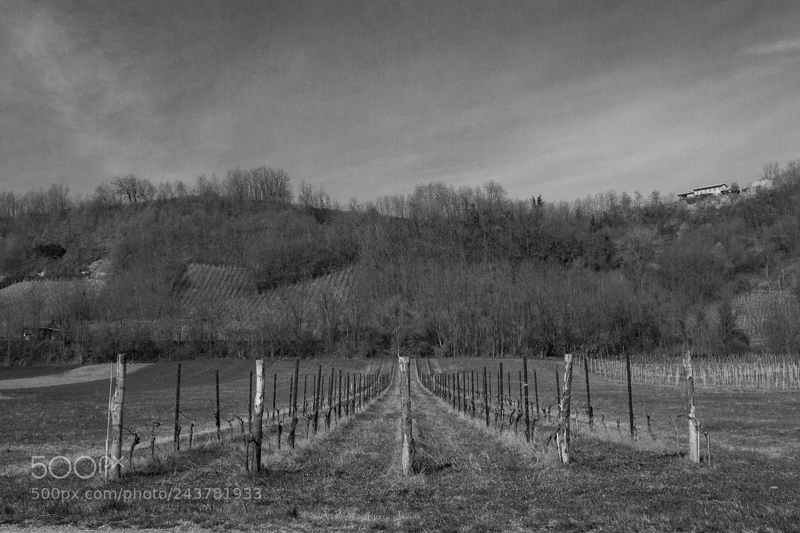 Canon EOS 1100D (EOS Rebel T3 / EOS Kiss X50) sample photo. Resting vineyard photography