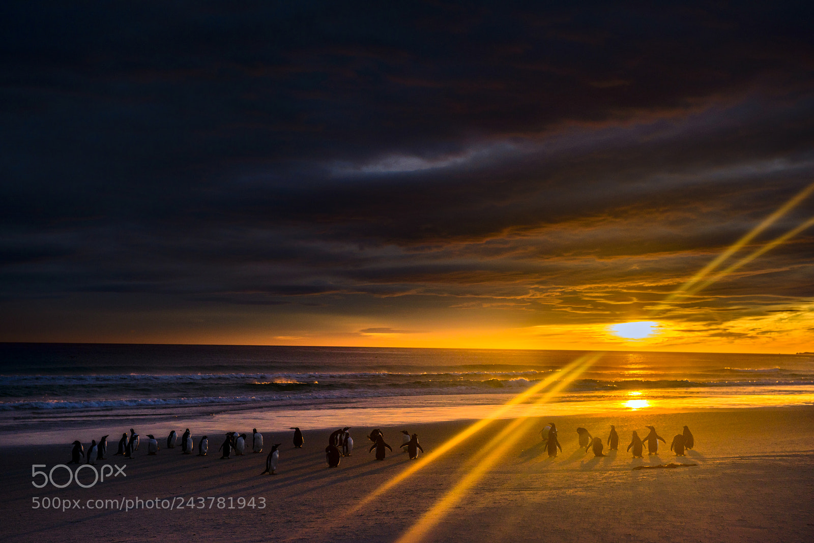 Nikon D800 sample photo. Volunteer beach sunrise photography