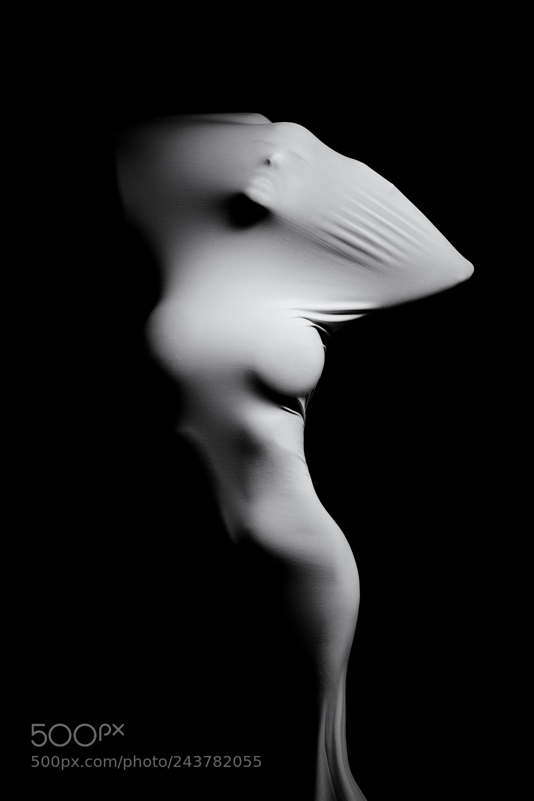 Nikon D610 sample photo. Metampsychosis photography