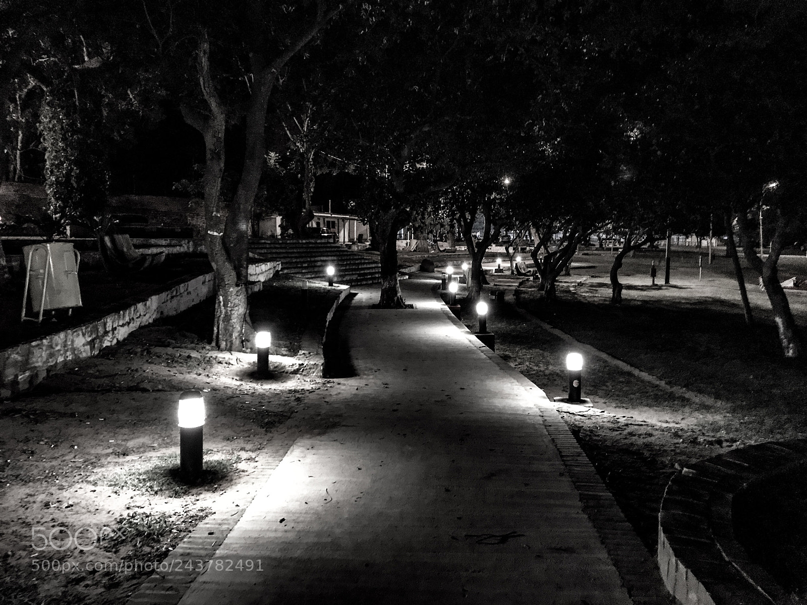Apple iPhone 7 Plus sample photo. Camino de luces photography