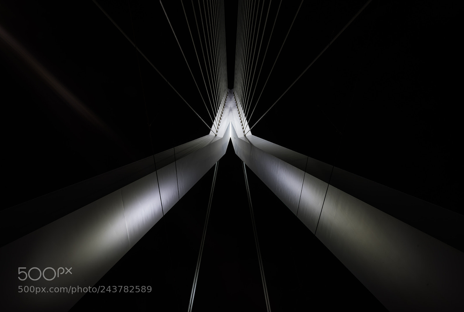 Sony a7 II sample photo. Erasmusbridge rotterdam detail photography