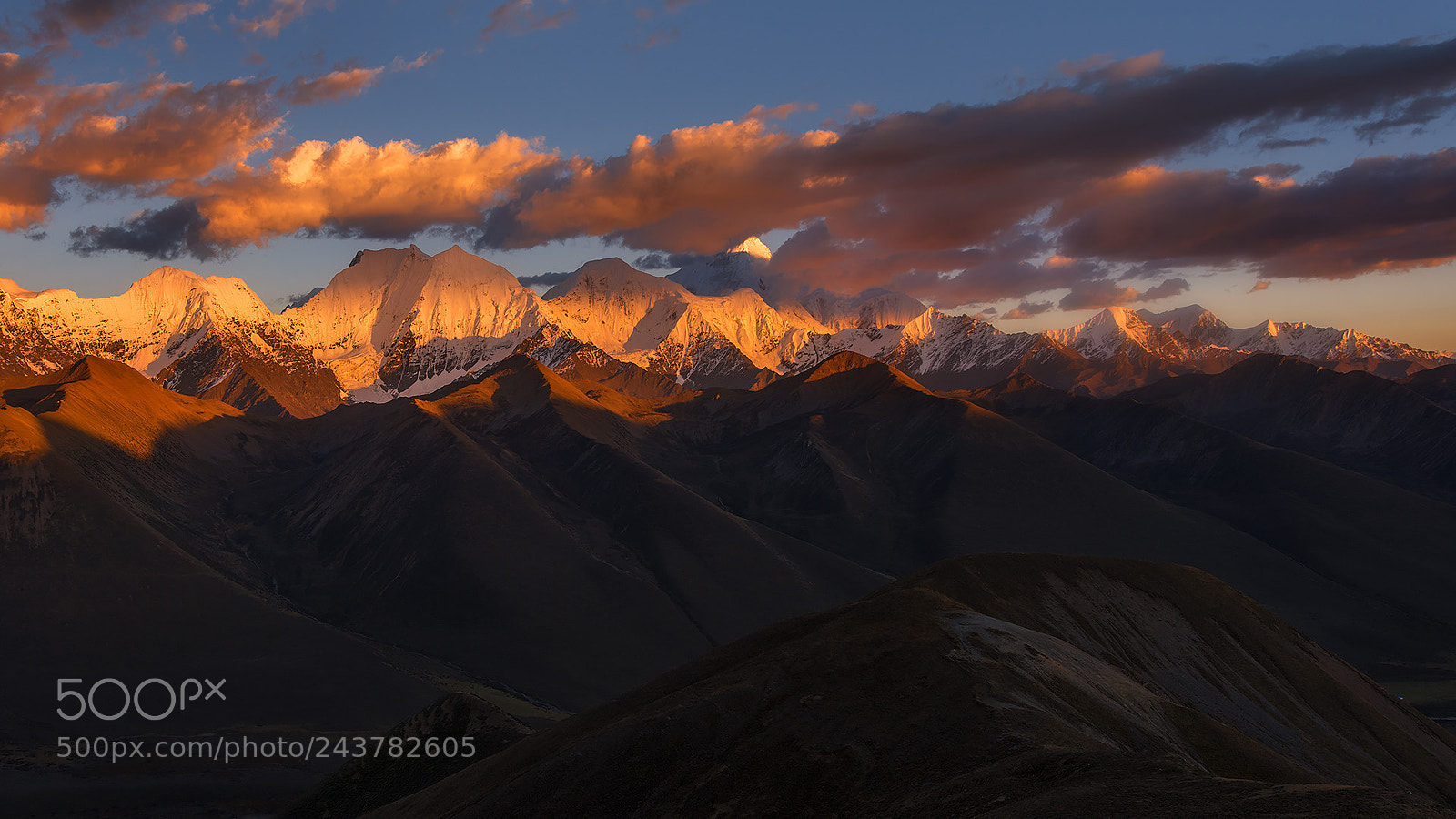 Nikon D810 sample photo. Golden top photography