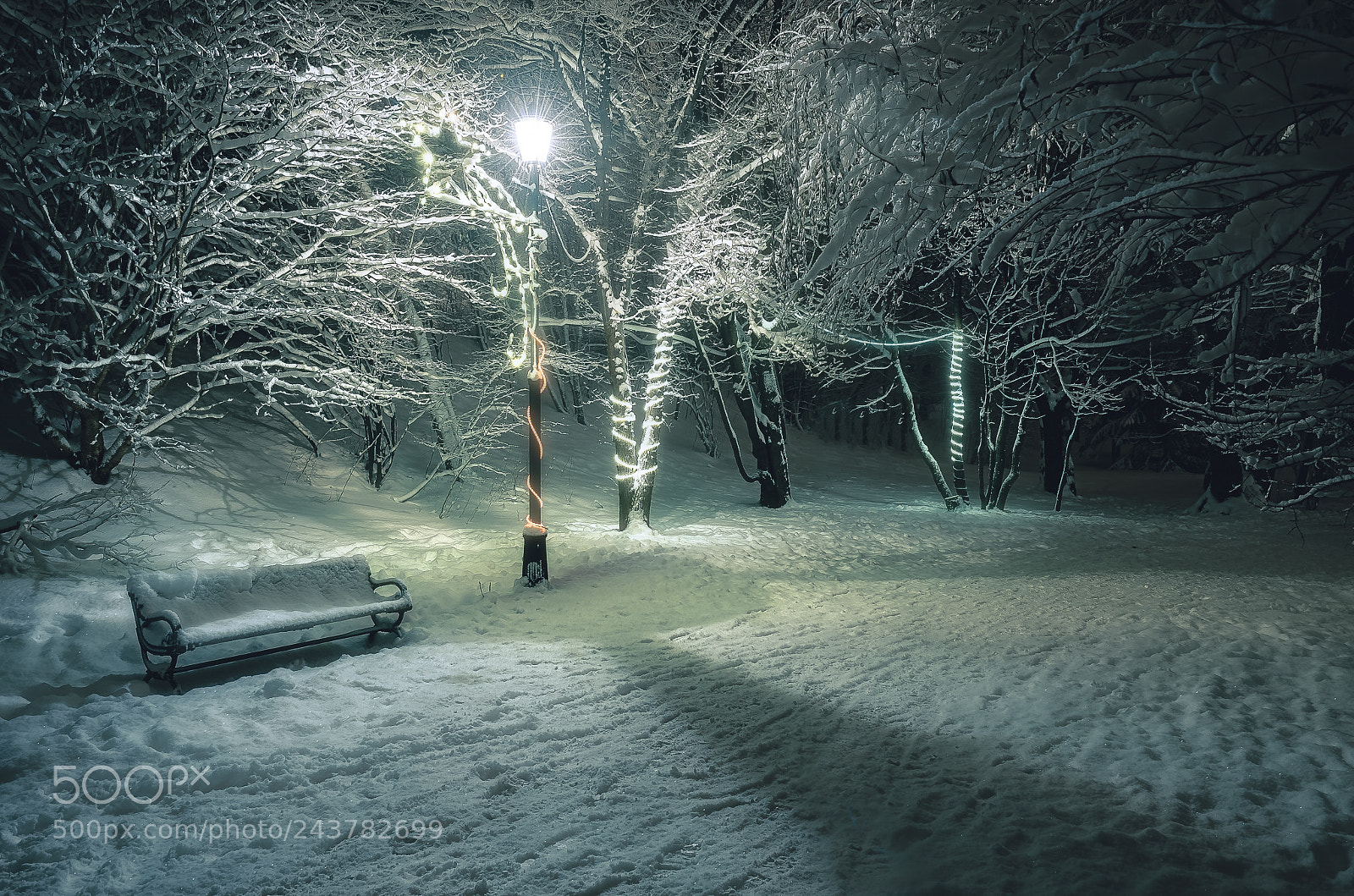 Nikon D810 sample photo. Night light photography