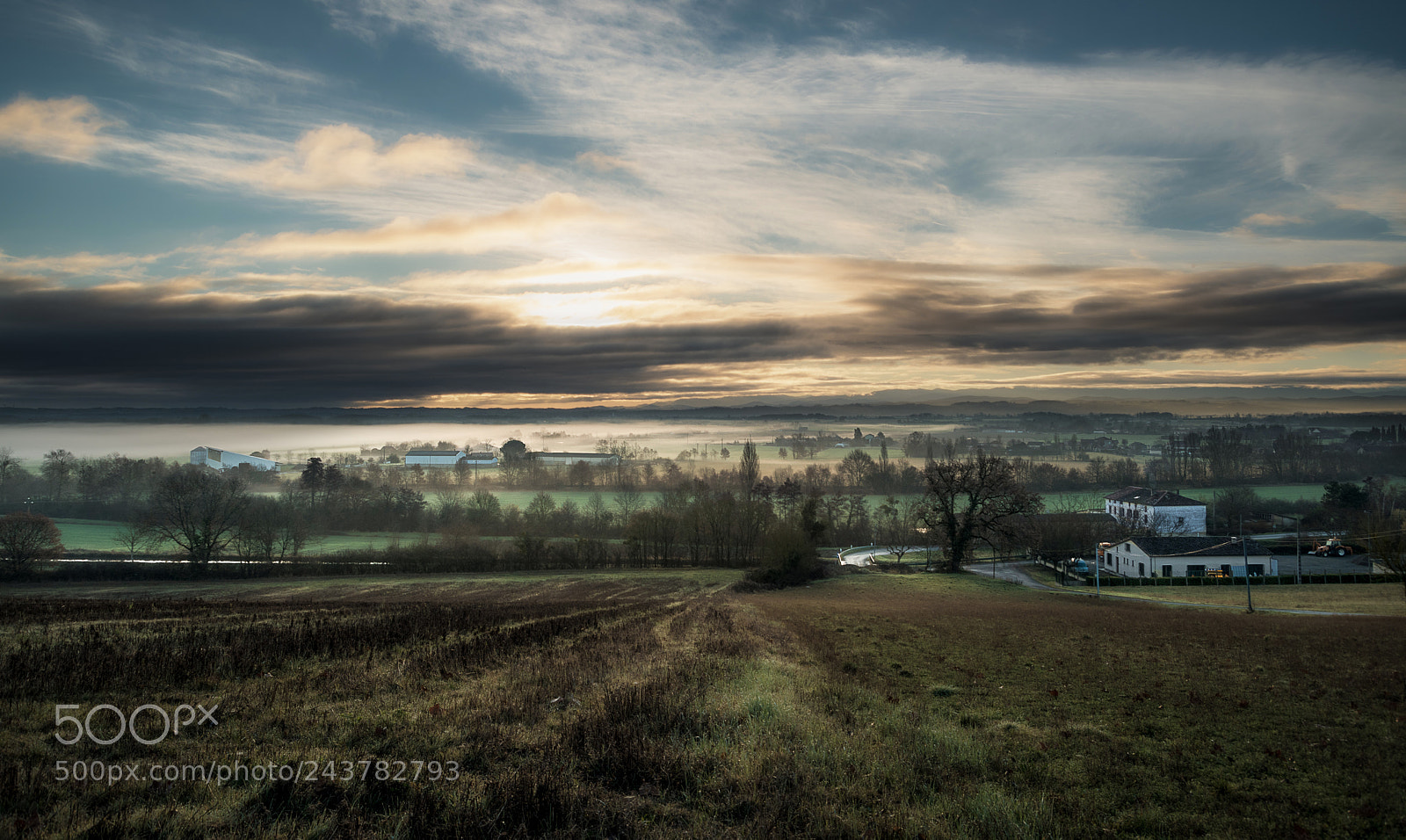 Nikon D5500 sample photo. Misty sunrise photography