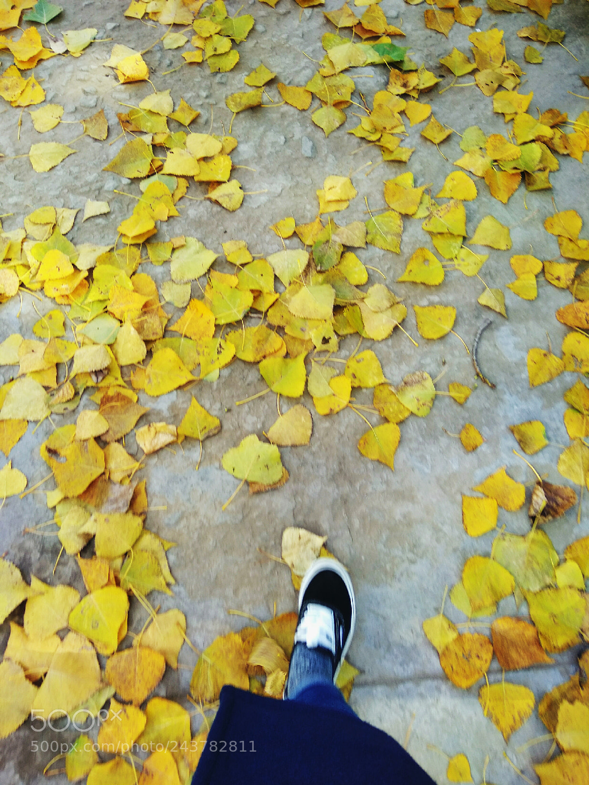 Xiaomi Redmi Note 4X sample photo. Untitled photography