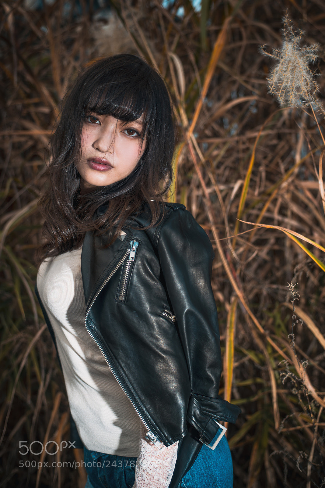 Nikon D610 sample photo. Untitled photography