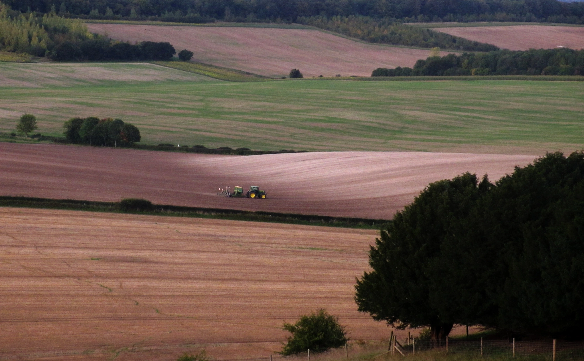 Canon PowerShot ELPH 310 HS (IXUS 230 HS / IXY 600F) sample photo. The tractor photography