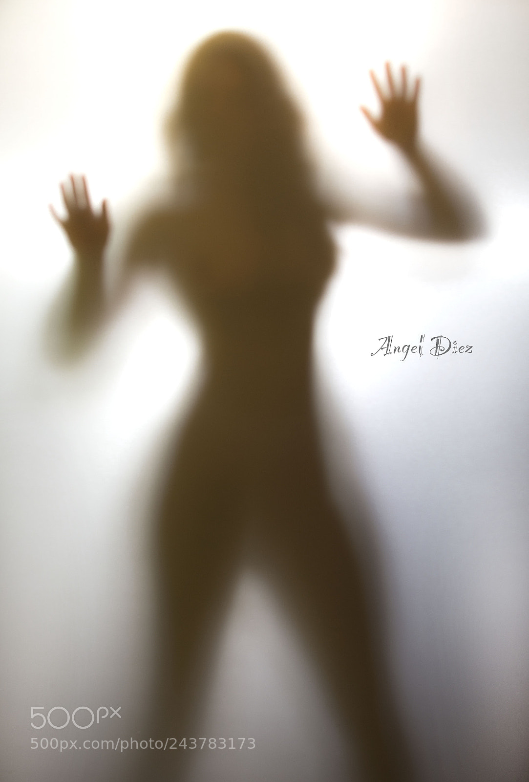 Nikon D7100 sample photo. Difuso photography