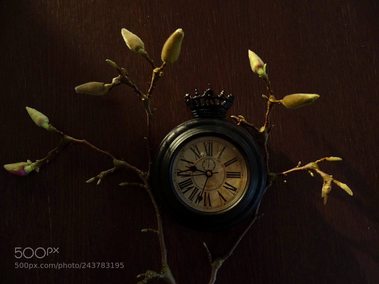 Sony Cyber-shot DSC-HX400V sample photo. Time has come photography