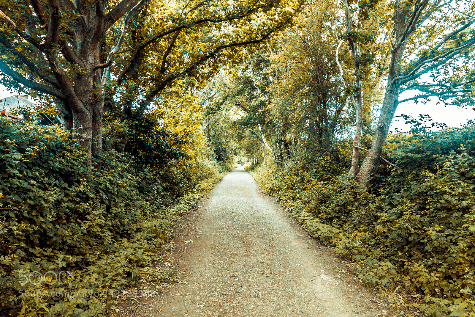 Canon EOS 50D sample photo. The old railway line photography