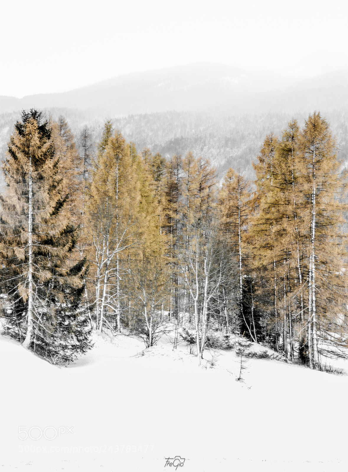 Nikon D7200 sample photo. White away photography