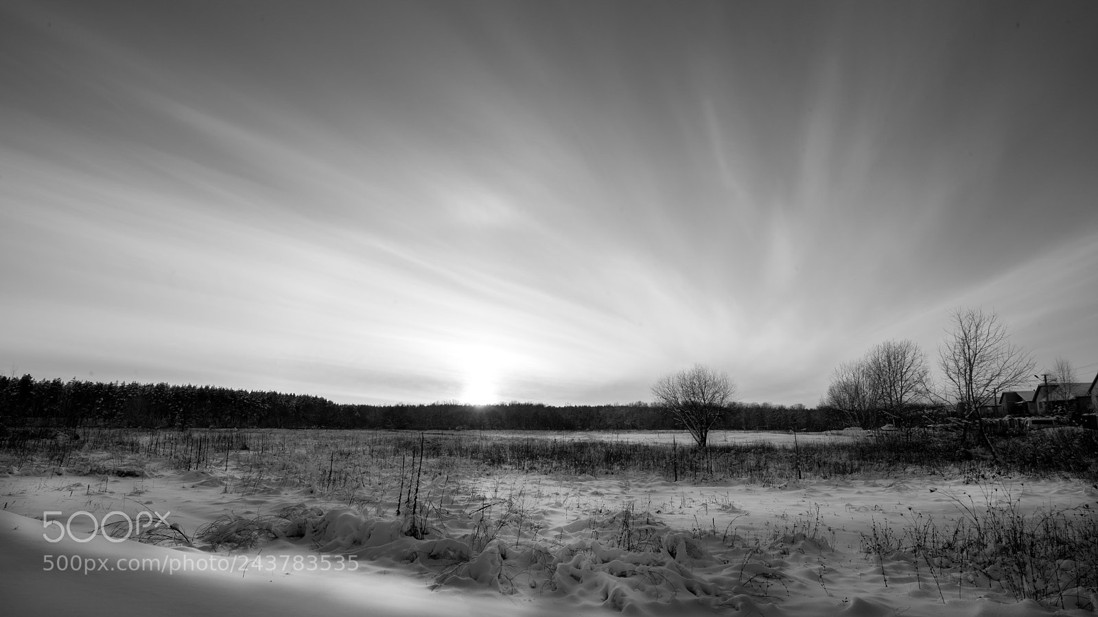 Nikon D810 sample photo. Зима photography
