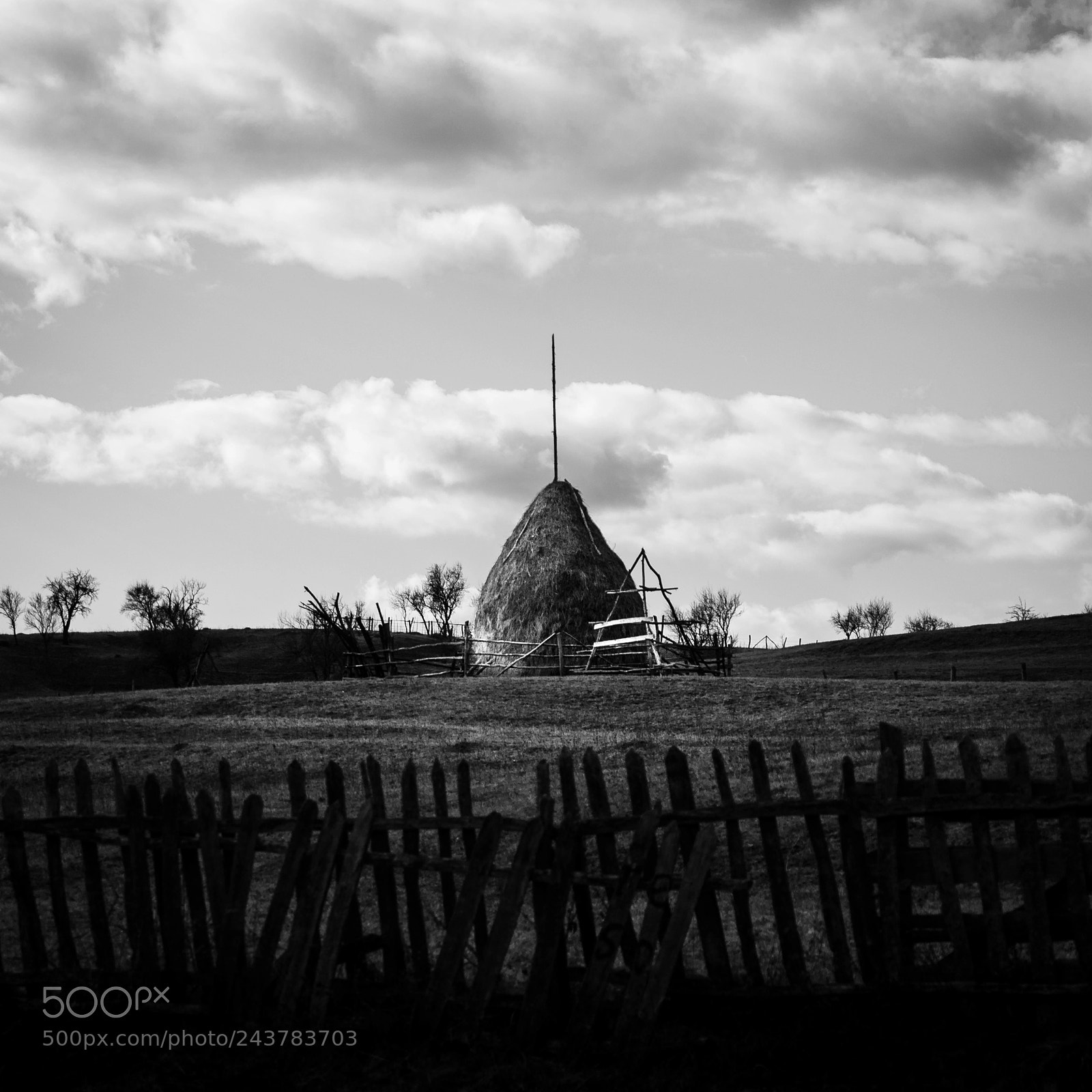 Nikon D7200 sample photo. Haystack photography