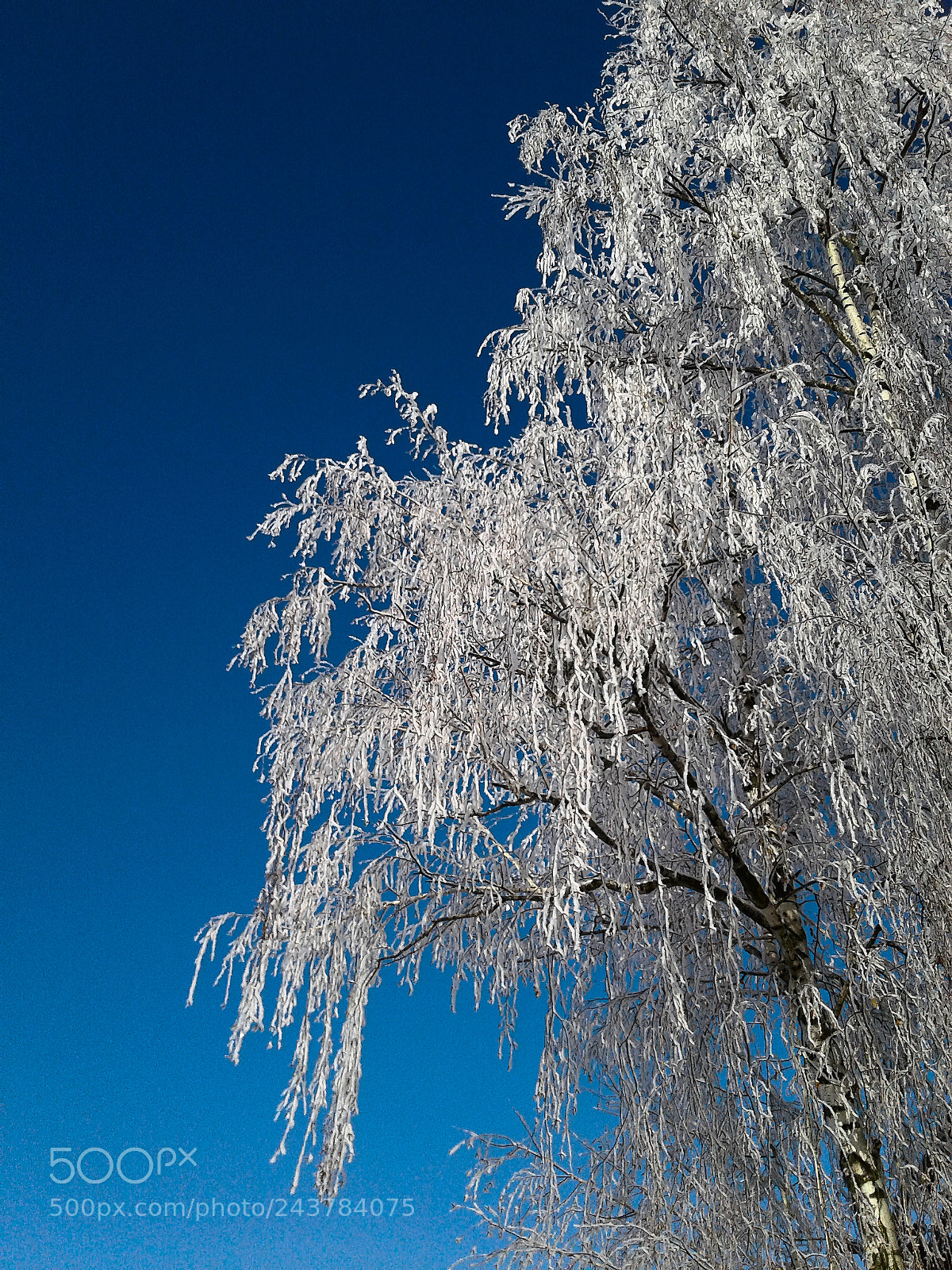 Samsung Galaxy J1 sample photo. Blue'n'white photography