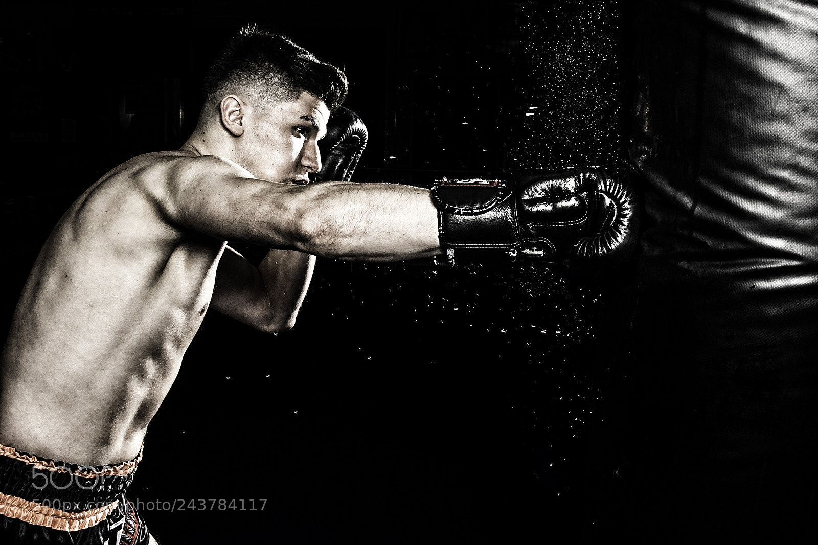 Nikon D500 sample photo. Boxer training photography