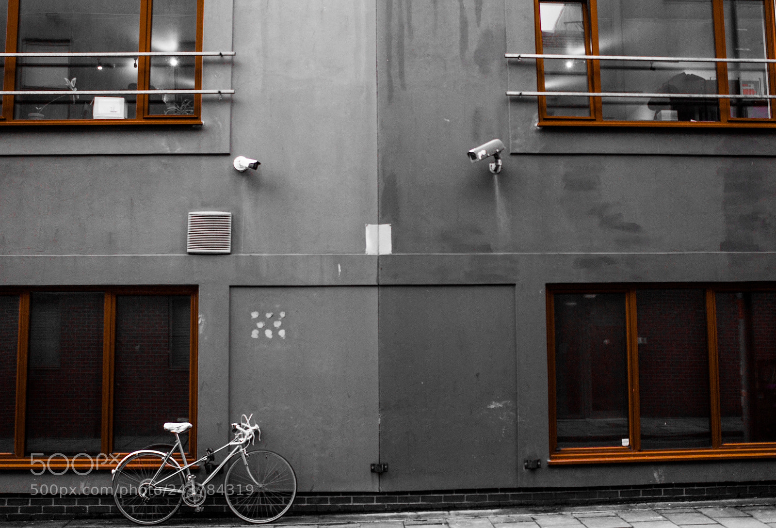 Canon EOS 60D sample photo. Big brother  photography